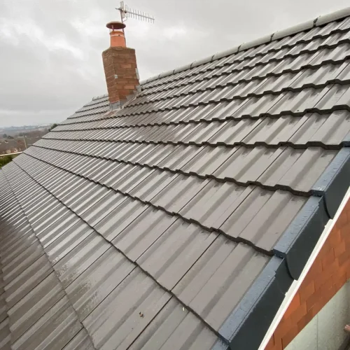 147831989_781422219126587_3188159041759673825_n